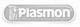 Plasmon