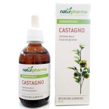 CASTAGNO GEMMODERIVATO PURO BIODISPONIBILE 50 ML