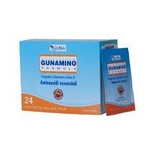 GUNAMINOFORMULA 24 BUSTINE 156 G