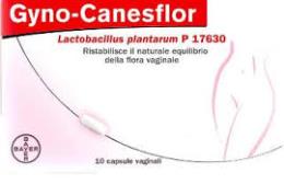 GYNOCANESFLOR 10 CAPSULE VAGINALI