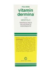 VITAMINDERMINA POLVERE MENT 100 G